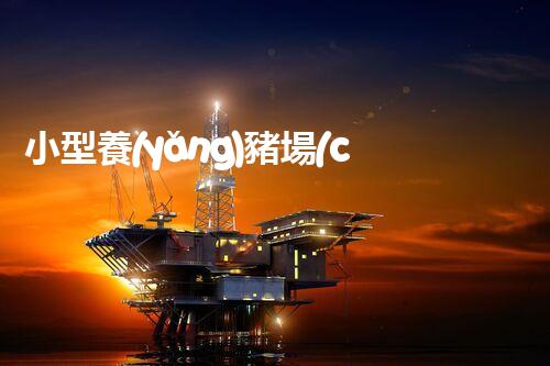 小型養(yǎng)豬場(chǎng)廢水處理設(shè)備的環(huán)保革命？答案在那個(gè)地點(diǎn)！